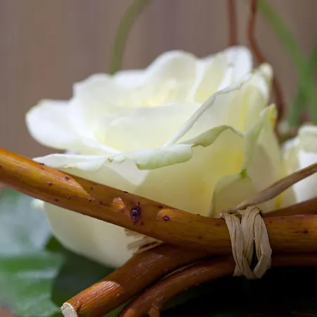 سيروتيل سويتس أوبرا 4* باريس